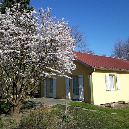 Maison de MANON Illhaeusern Extérieur photo